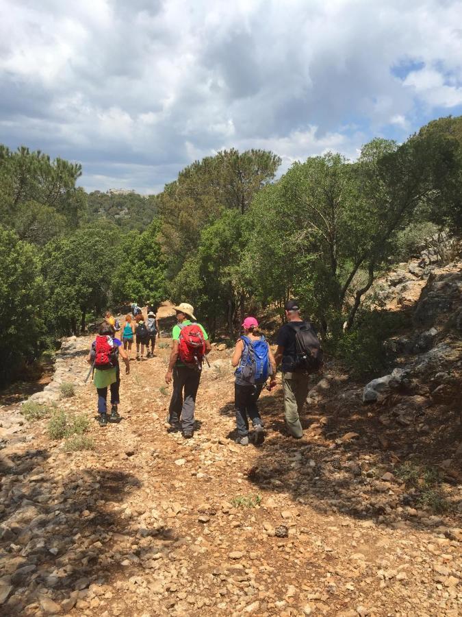 Ulassai Sardinia Climbing House Bed & Breakfast エクステリア 写真