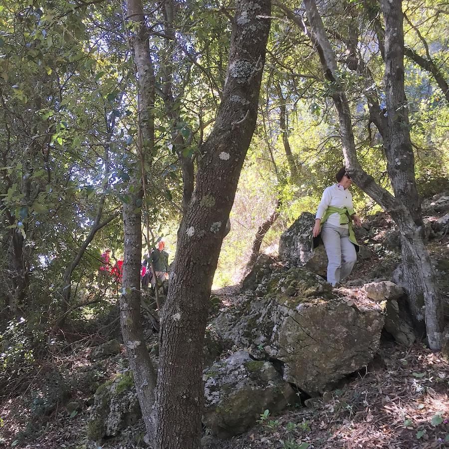 Ulassai Sardinia Climbing House Bed & Breakfast エクステリア 写真