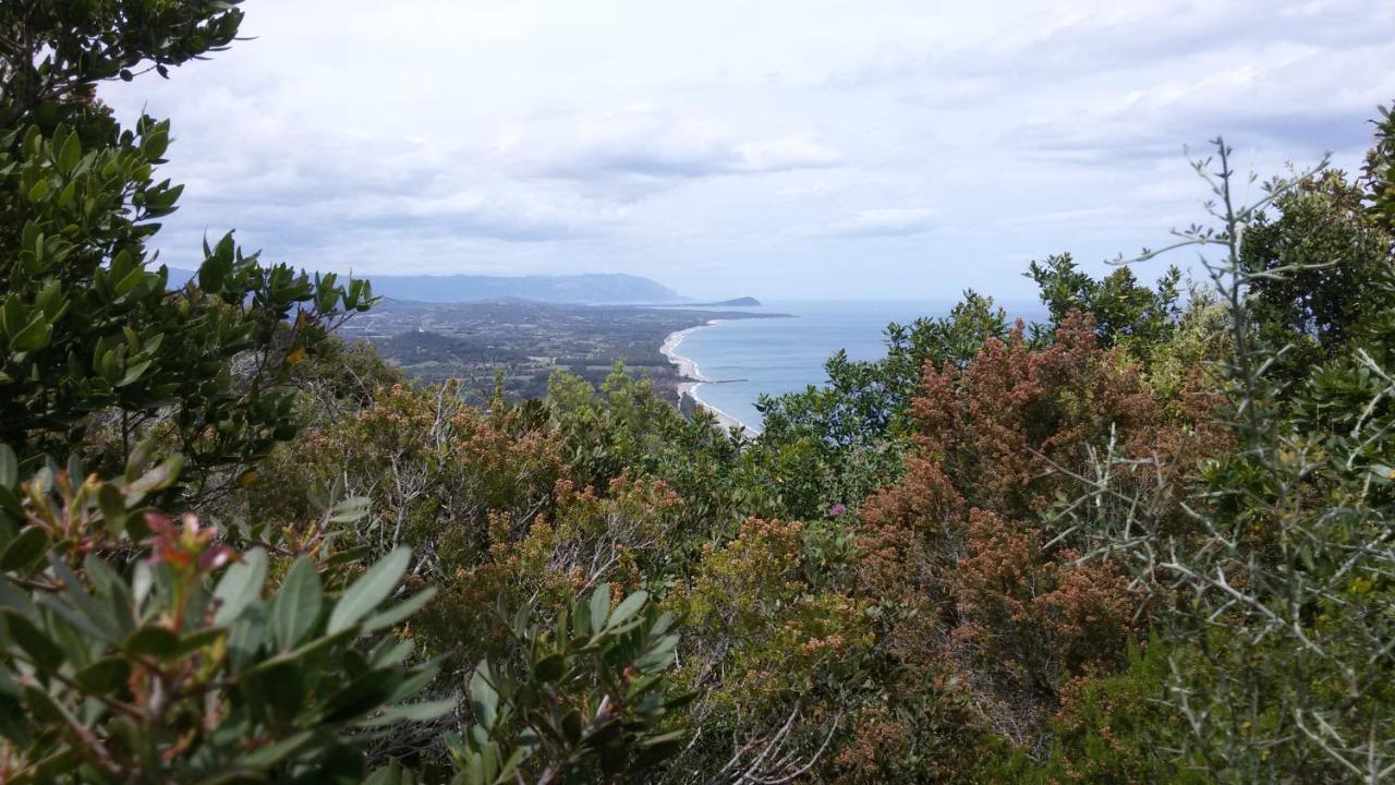 Ulassai Sardinia Climbing House Bed & Breakfast エクステリア 写真